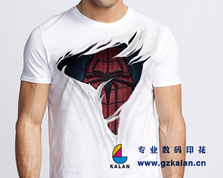 _ӇLV݇3DT 
PI: