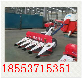 I(y)(yng)4G150͵΢͸C(j)ոC(j) 
P(gun)I: