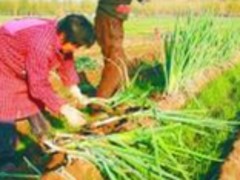 (yu)ݵخa(chn) خa(chn) 
PI: