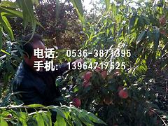 LOOK\ӳ˪t硿Nֲ_x 
P(gun)I: