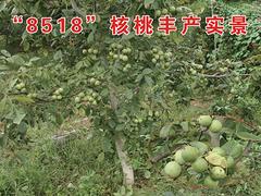 (yu)|(zh)8518a(chn)ں8518 
P(gun)I: