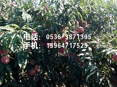 2016ӳ˪tҘ(sh)硾(yng)ӳ˪tҘ(sh)r(ji) 
P(gun)I:
