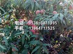 ӳ˪t硾r(ji)(yng)ءl(f)\(chng) 
P(gun)I: