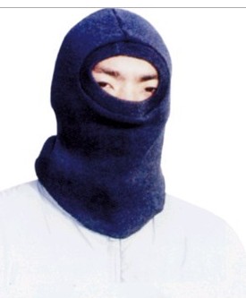  2016¿^ 
P(gun)I: