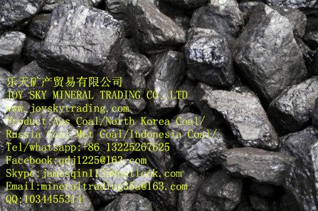 Anthracite coal supplier/ Aus/ Russia coal trade 
P(gun)I: