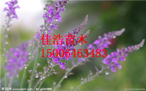 r(ji)(yu)ݵ޹²ݞH_޹²l(f) 
P(gun)I: