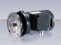 HUBNERaHUBNERy늙C(j)HUBNER_P(gun) 
P(gun)I: