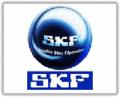 SKF {(dio)ĝLS=(qun) 
PI:2010-03-19