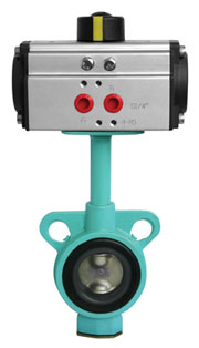 myӵyP䓵y 
P(gun)I: