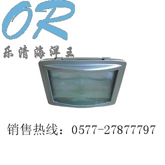 (yng)·NSE9720(yng)NSE9720 
P(gun)I: