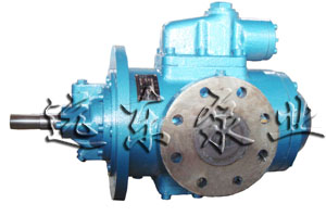 SNFݗUݗUãpݗUC(j)ͱжͱ 
P(gun)I: