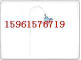 (BGD BL52 FAM)AsߗUr 
PI:
