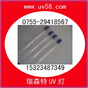 ͉R15323487349 
PI:2011-01-03